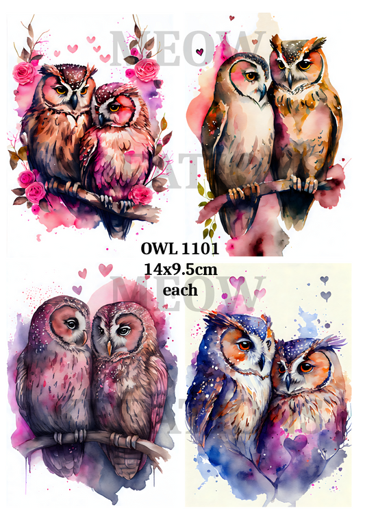 OWL 11001