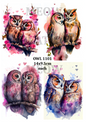 Romantic Watercolour Owl Couples Decoupage Rice Paper - OWL 11001