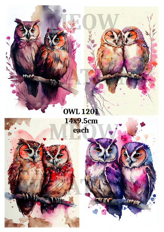 OWL 12001