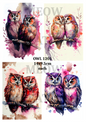 Colourful Watercolour Owl Couples Decoupage Rice Paper - OWL 12001