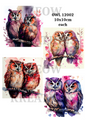 Colourful Owl Couples Decoupage Rice Paper - OWL 12002