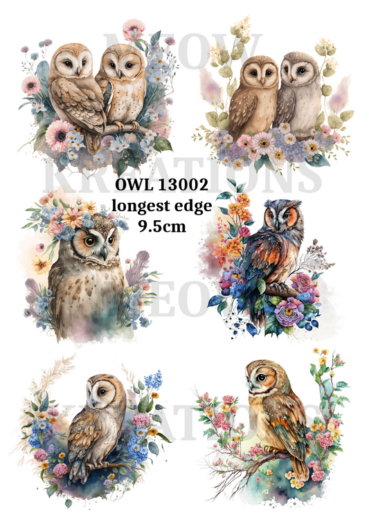 OWL 13002