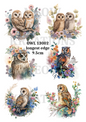 Floral Watercolour Owls Decoupage Rice Paper - OWL 13002