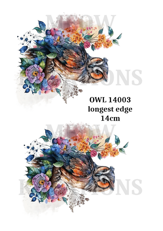 OWL 14003