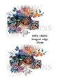 Decoupage Rice Paper - OWL 14003