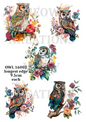 Decoupage Rice Paper - OWL 16002