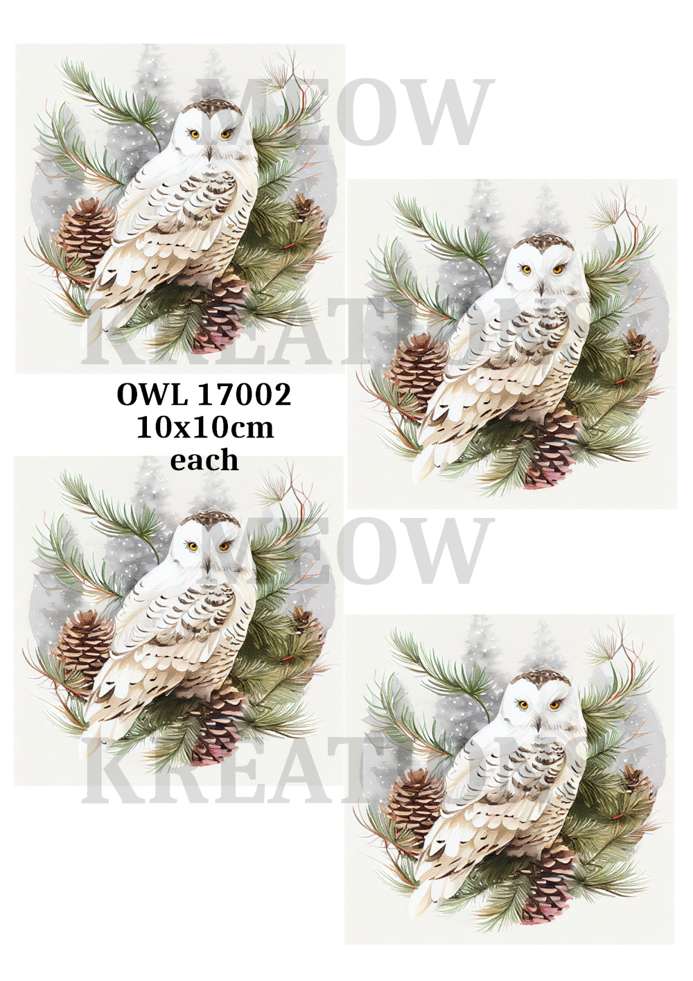 OWL 17002