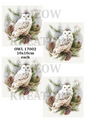 Decoupage Rice Paper - OWL 17002
