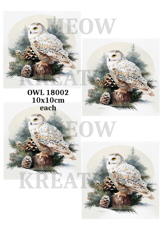 OWL 18002