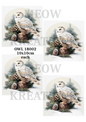 Decoupage Rice Paper - OWL 18002