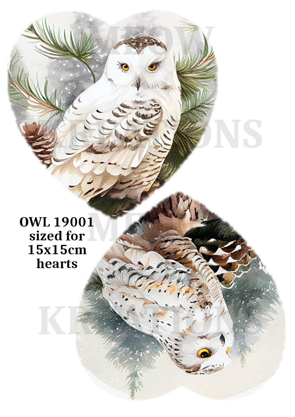 OWL 19001