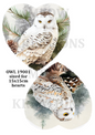 Decoupage Rice Paper - OWL 19001