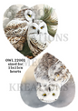 Decoupage Rice Paper - OWL 22001