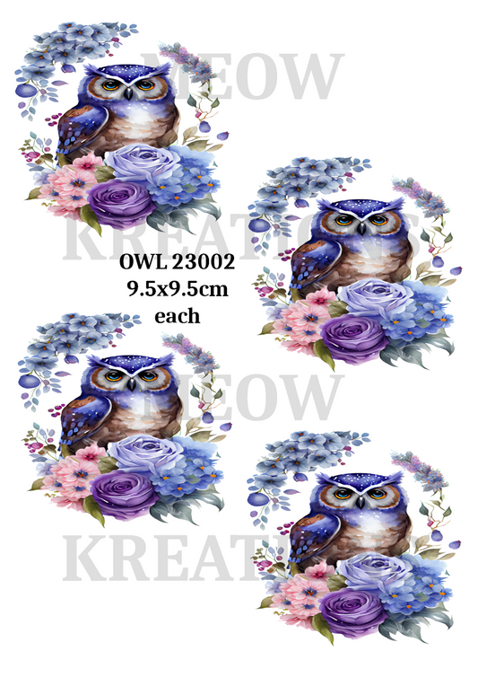 OWL 23002