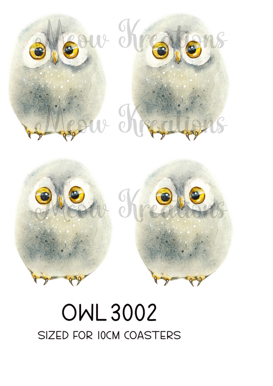 OWL 3002