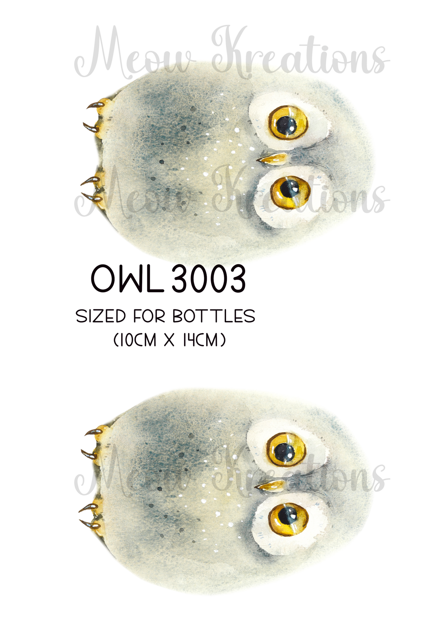 OWL 3003