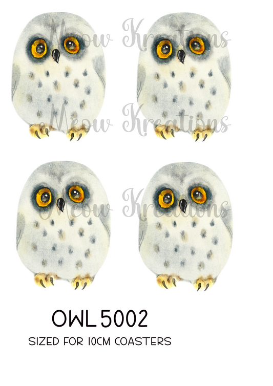 OWL 5002