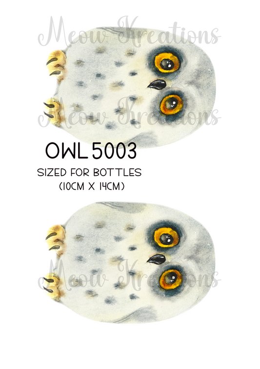 OWL 5003