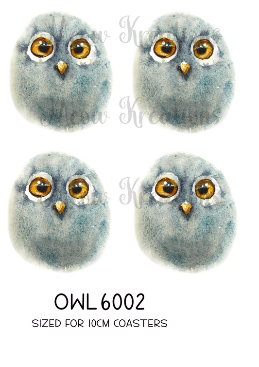 OWL 6002