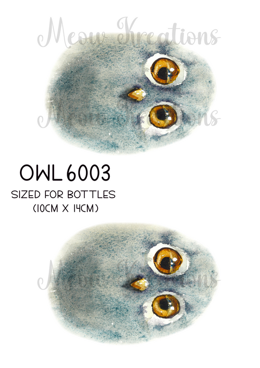 OWL 6003