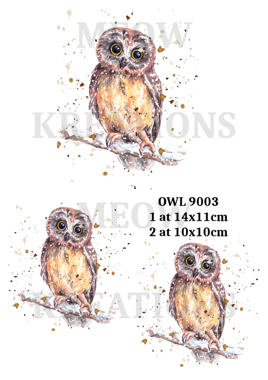 OWL 9003