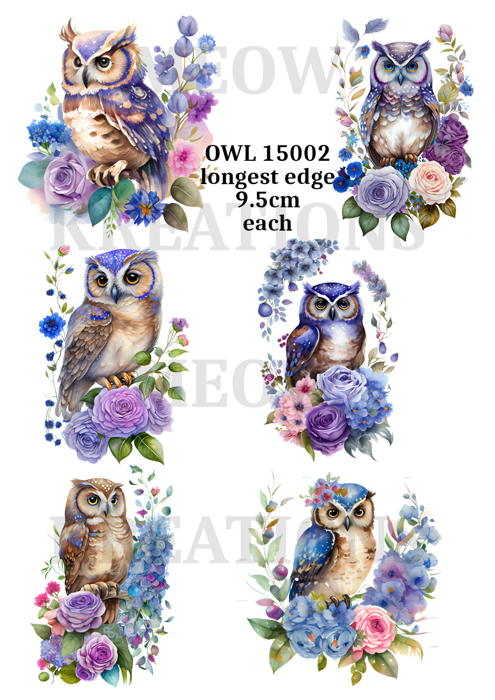 OWL 15002