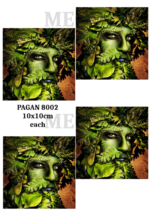 PAGAN 8002