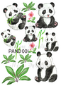 PANDA 001