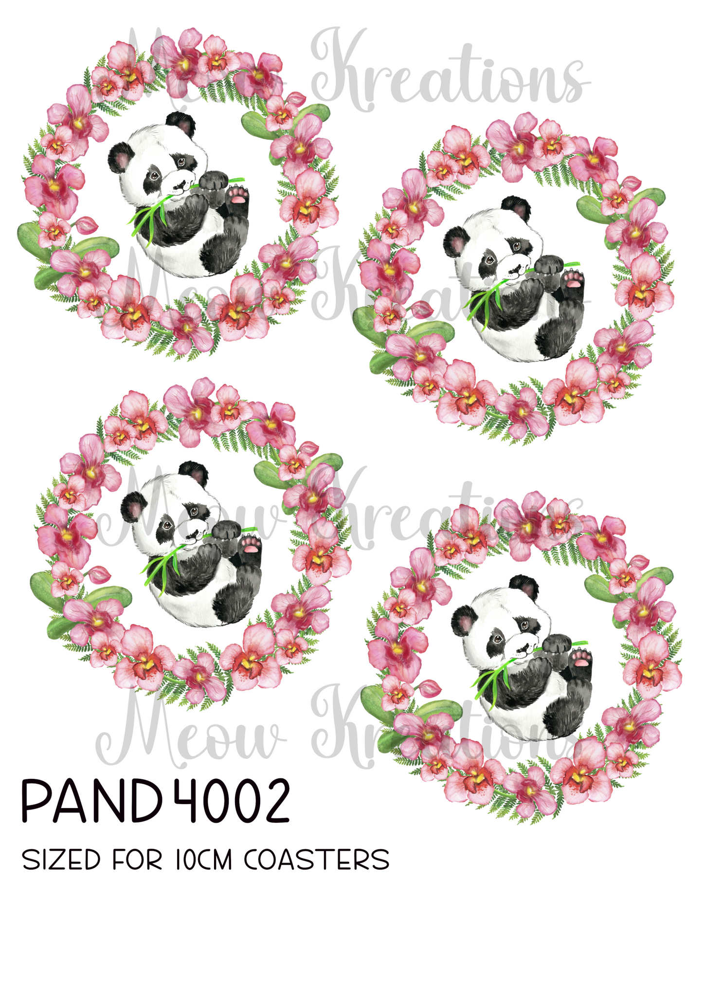 PAND 4002