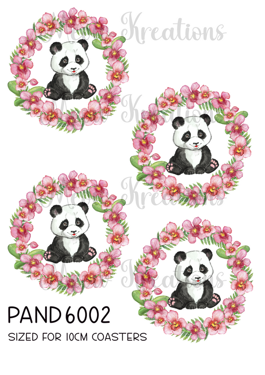 PANDA 6002