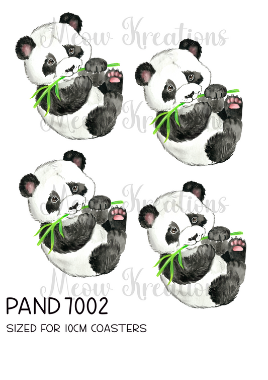 PAND 7002