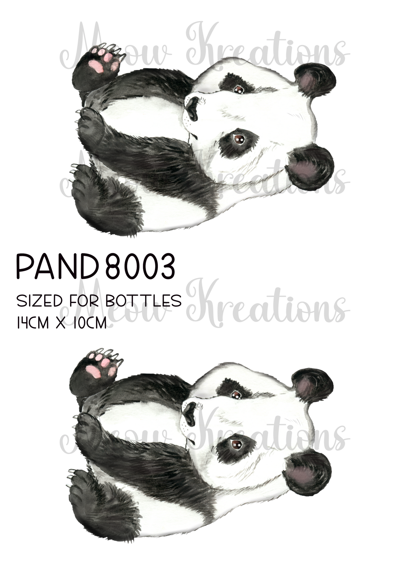 PAND 8003