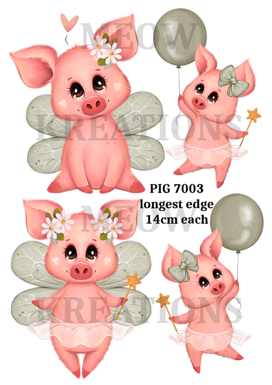 PIG 7003