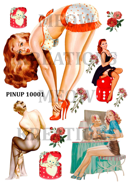 PINUP 10001