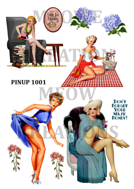 PINUP 1001