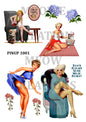 Decoupage Rice Paper - PINUP 1001