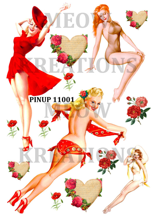 PINUP 11001