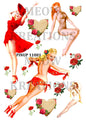 Decoupage Rice Paper - PINUP 11001