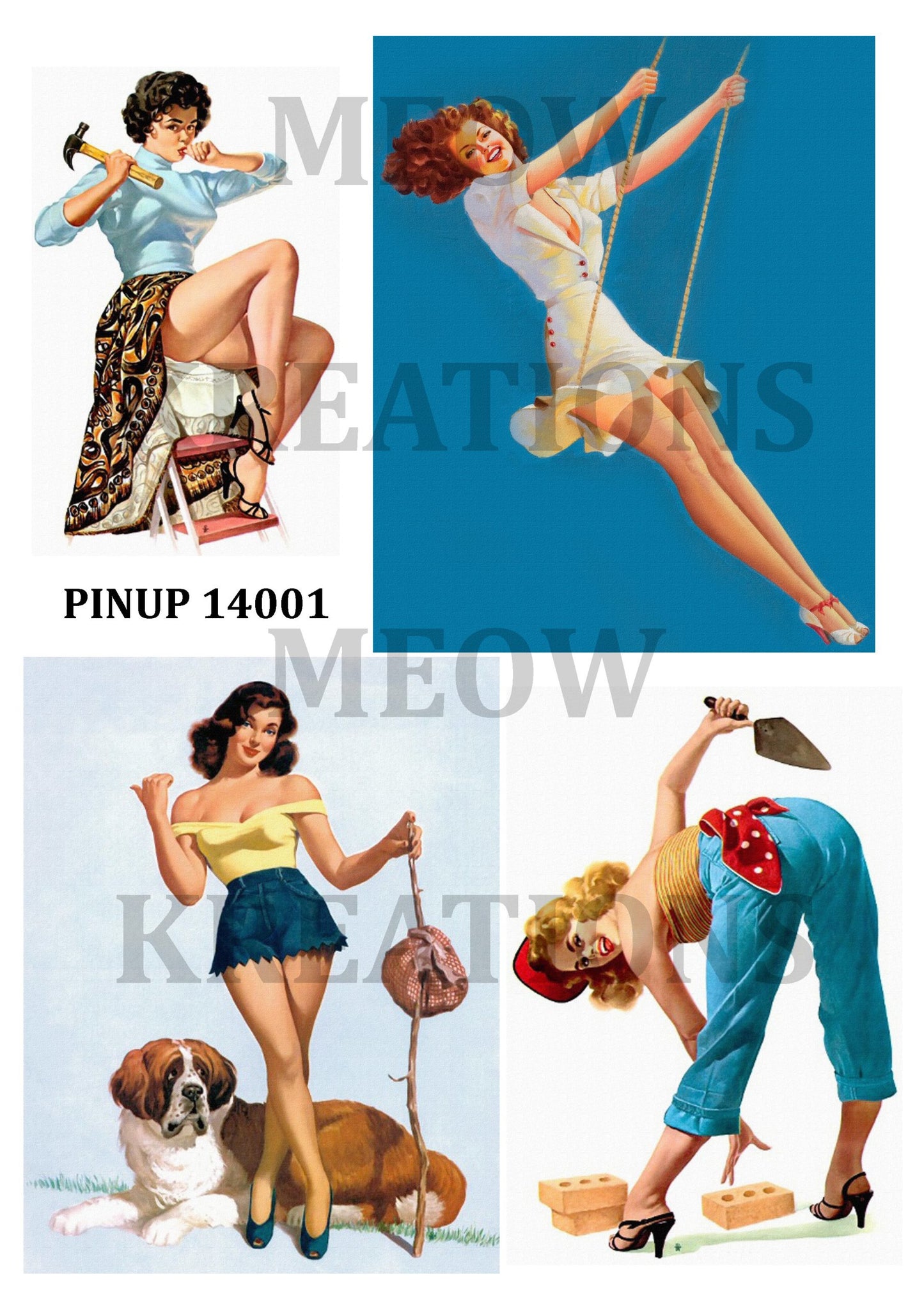 PINUP 14001