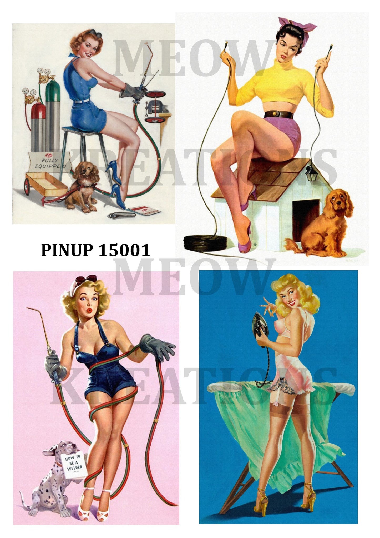 PINUP 15001