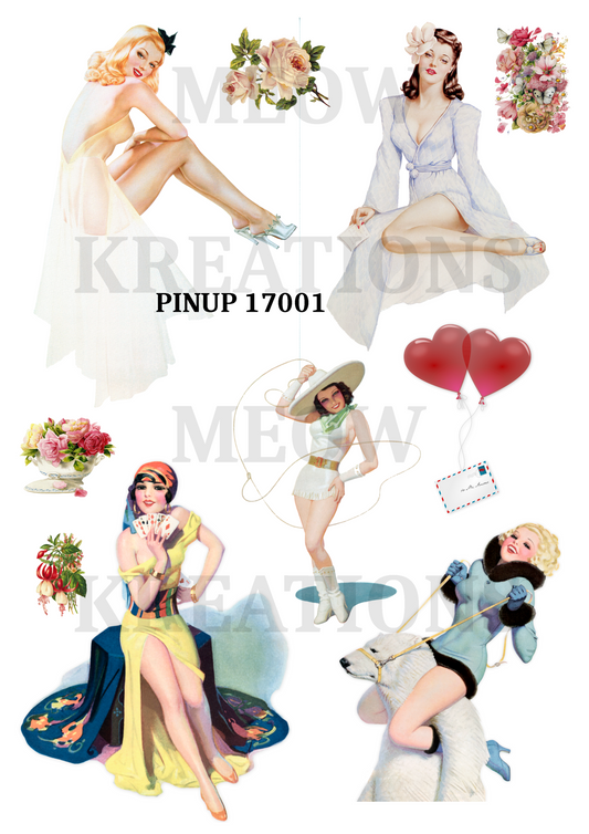 PINUP 17001