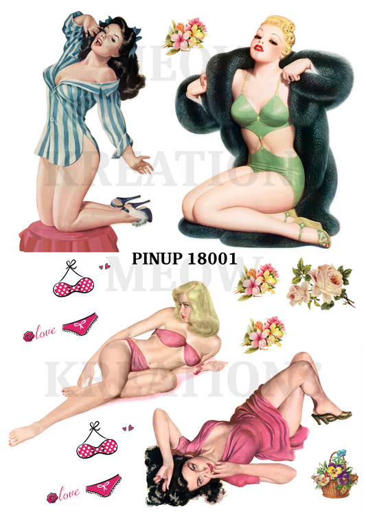 PINUP 18001