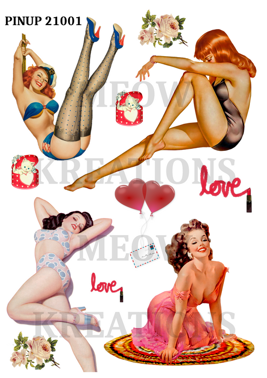 PINUP 21001