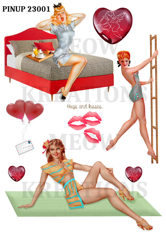 PINUP 23001