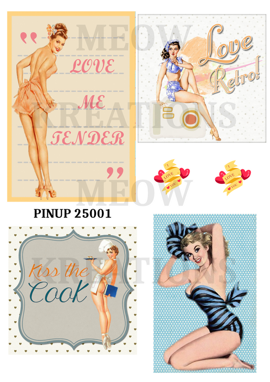 PINUP 25001