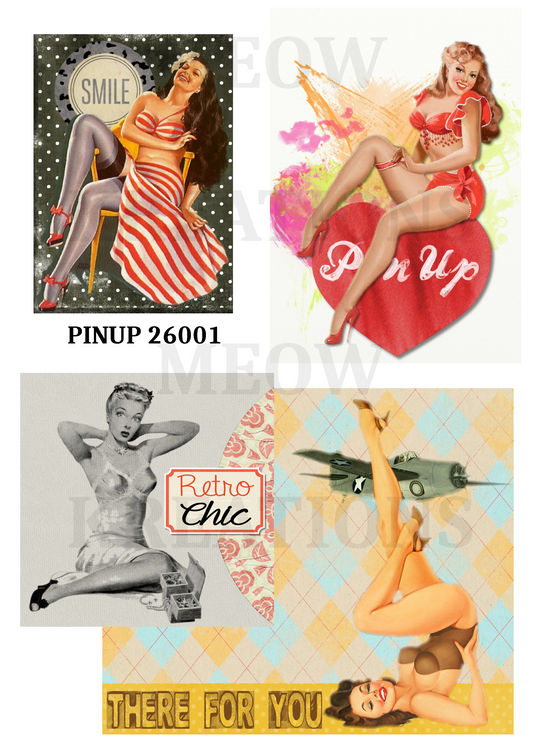 PINUP 26001