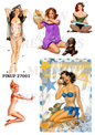 Decoupage Rice Paper - PINUP 27001