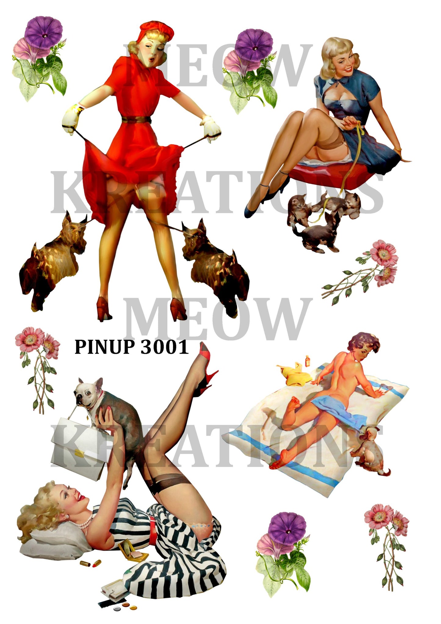 PINUP 3001