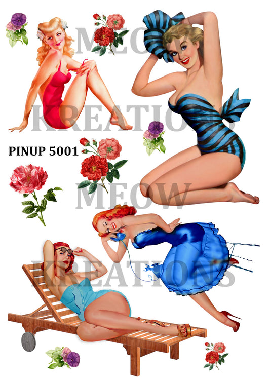 PINUP 5001