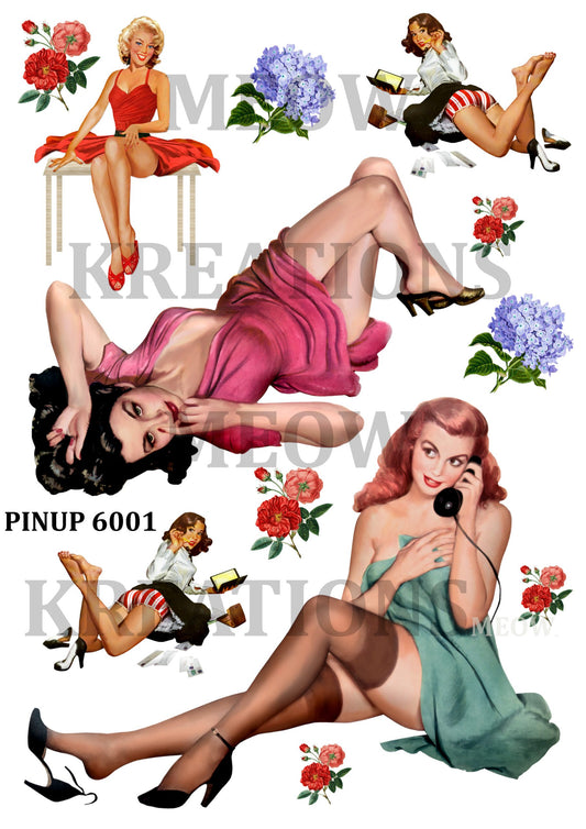 PINUP 6001